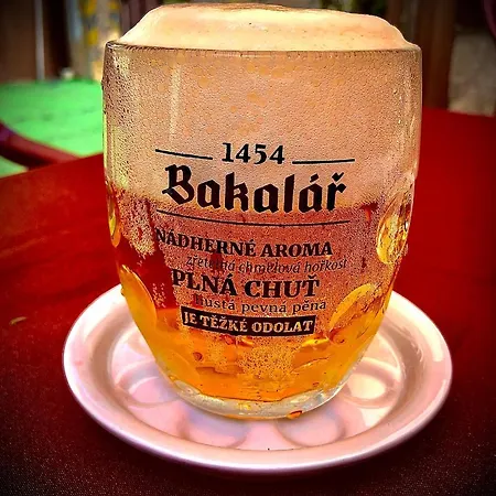 Apartmany Karlstejn Διαμέρισμα *